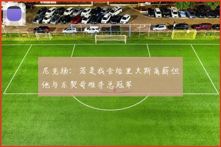 尼克杨：若是我会给里夫斯高薪但他与东契奇难夺总冠军