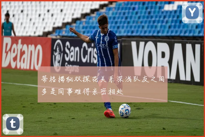 蒂格揭秘双探花关系深浅队友之间多是同事难得亲密相处