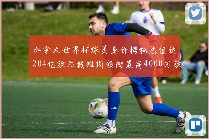 加拿大世界杯球员身价揭秘总值达204亿欧元戴维斯领衔最高4000万欧